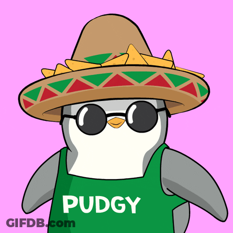 Penguin Wearing Sombrero And Sunglasses GIF
