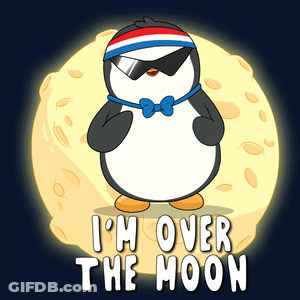 Penguin Wearing Sunglasses And Headband Over The Moon GIF