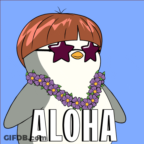 Penguin Wearing Sunglasses And Lei GIF