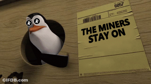 Penguin Wearing Sunglasses Next To Paper Saying The Miners Stay On GIF