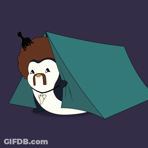 Penguin With Afro And Mustache In Tent GIF