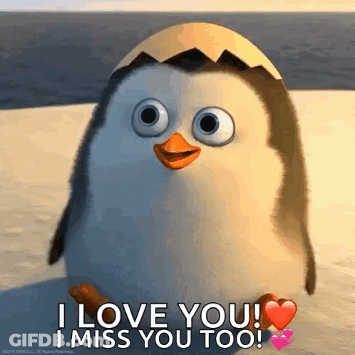 Penguin With Egg On Head Saying I Love You I Miss You Too GIF