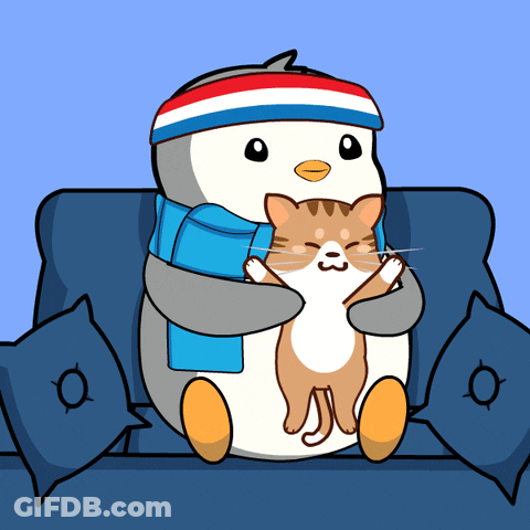 Penguin With Headband And Scarf Holding Cat GIF