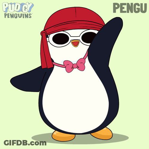 Penguin With Sunglasses And Bandana Named Pengu GIF