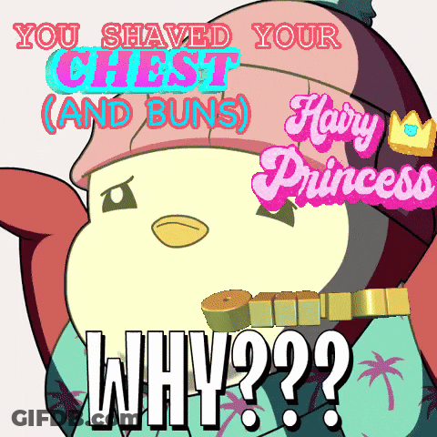 Penguin With You Shaved Your Chest And Buns GIF