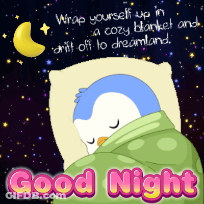 Penguin Wrapped In Blanket Sleeping GIF