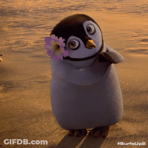 Penguin You Da Bomb GIF