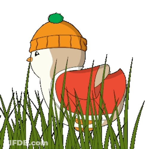 Penguine Like Naruto Running GIF