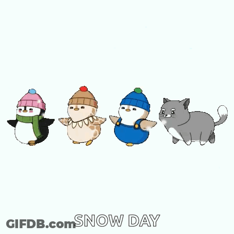 Penguins, Bird, Cat And Dog In Snow GIF