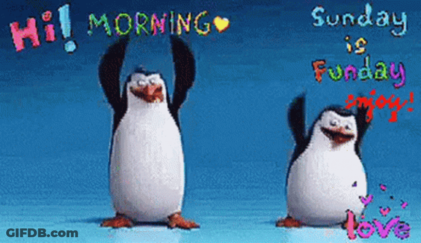 Penguins Doing Sunday Fundance GIF