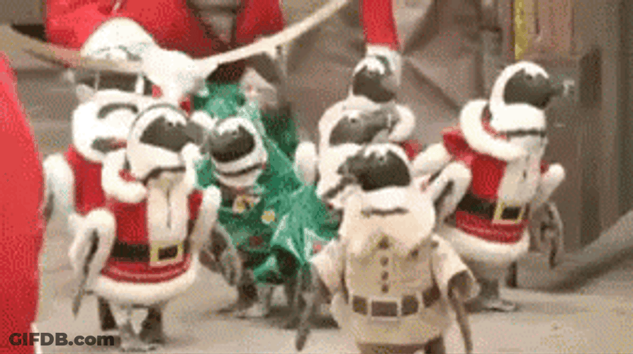 Penguins Elf Santa GIF