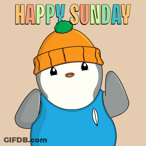 Penguins Happy Cute Sunday GIF