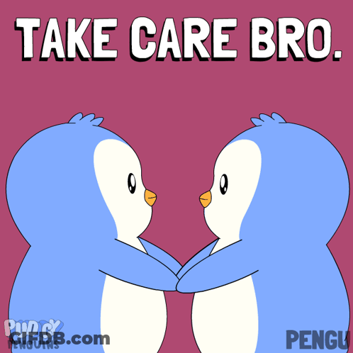 Penguins Hugging Take Care Bro GIF