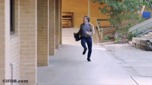 Penguins In Bow Ties Under Gemini Season Sign GIF
