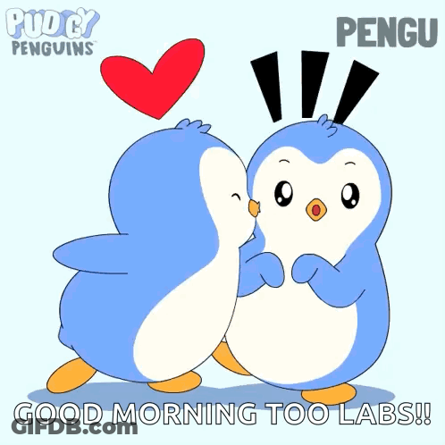 Penguins Kissing Good Morning Too Labs GIF
