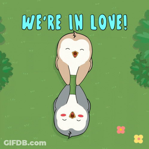 Penguins Laying On Grass Saying We're In Love GIF
