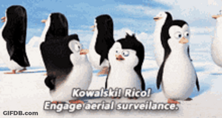 Penguins Of Madagascar Cute Talking Aerial Surveillance GIF