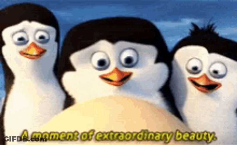 Penguins Of Madagascar Egg Extraordinary Beauty GIF