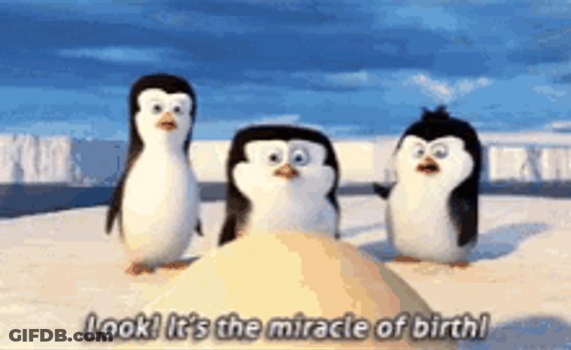 Penguins Of Madagascar Egg Miracle Of Birth GIF