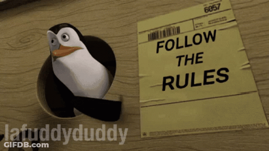 Penguins Of Madagascar Follow The Rules GIF