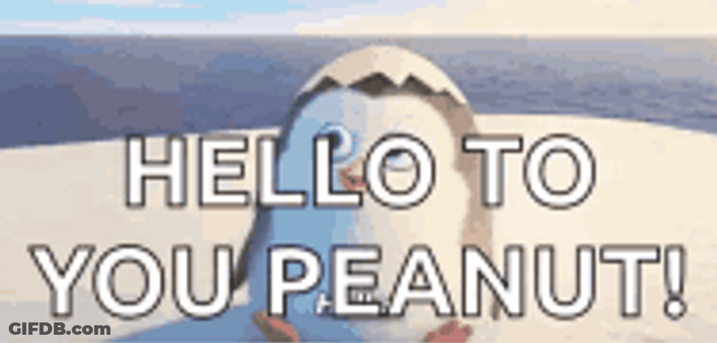 Penguins Of Madagascar Private Hello To You Peanut GIF