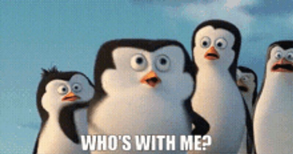 Penguins Of Madagascar Who's With Me Raise Hands GIF