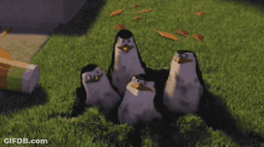 Penguins Of Madagascar Yes Mission Accomplished GIF