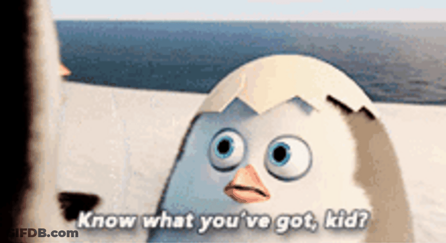 Penguins Of Madagascar You've Got Us Kid Private GIF