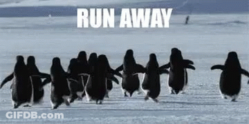 Penguins Running In Line GIF