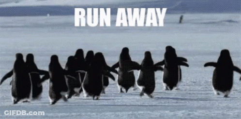 Penguins Running In Snow GIF