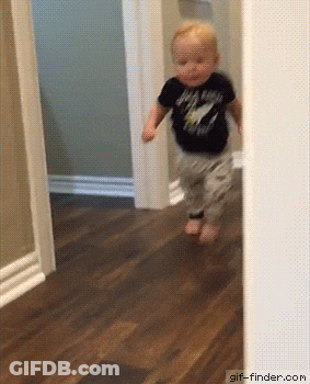 Penguins Running In Snow GIF