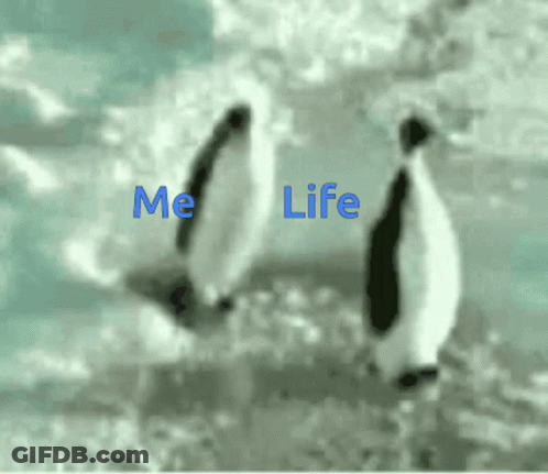 Penguins Standing On Ice Saying Me Life GIF