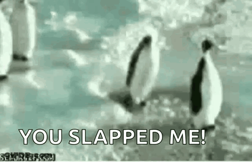 Penguins Standing On Snow Saying You Slapped Me GIF