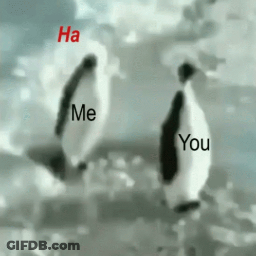 Penguins Standing With Ha Me You GIF
