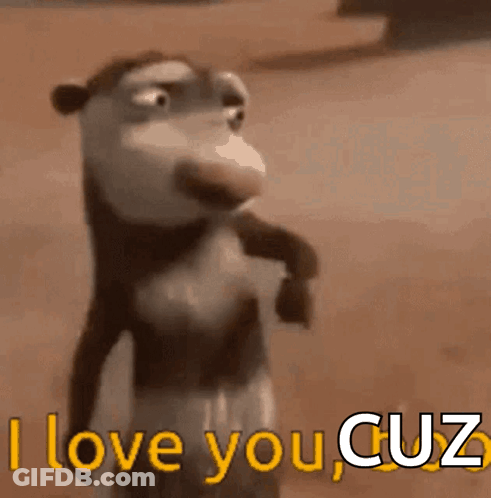 Penguins Trying To Convince Who Loves More GIF