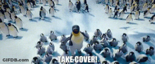 Penguins Walking In Snow Say Take Cover GIF