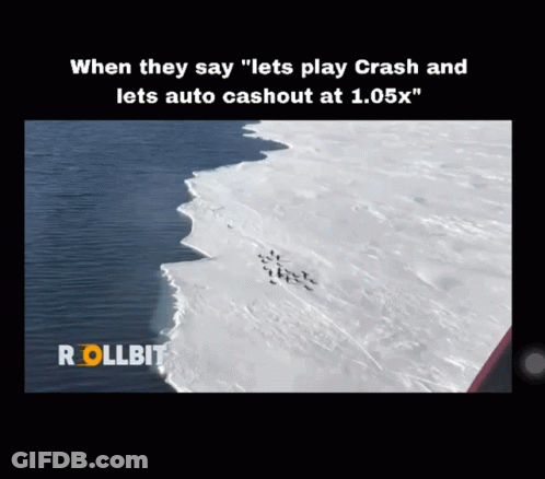 Penguins Walking On Snowy Beach Rollbit GIF