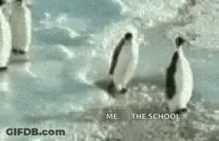 Penguins Walking Through Snow GIF