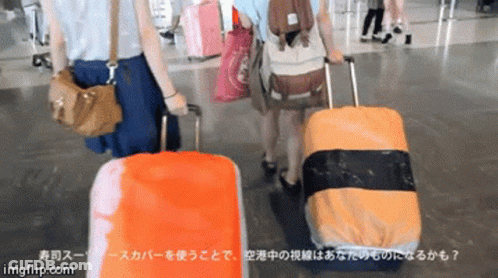 People Carrying Luggage With Imgflip Watermark GIF