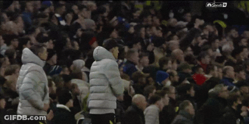 People Celebrating In Front Of Crowd GIF