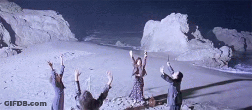 People Celebrating On Beach GIF