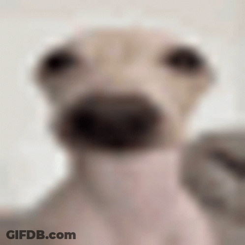People Dancing On Stage With Temptations On Wall GIF