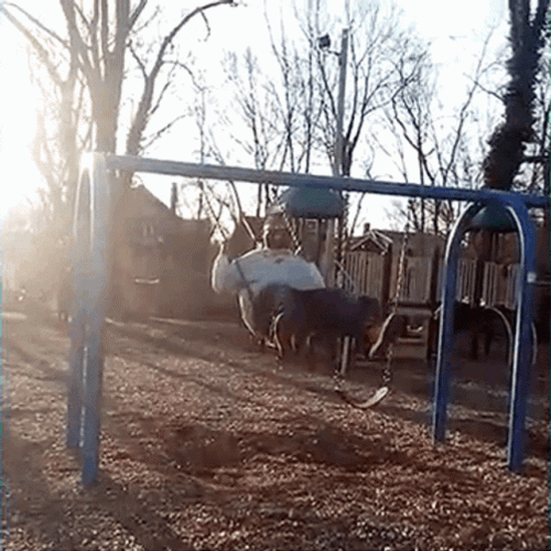 People Falling Chubby Man Swing Fail GIF
