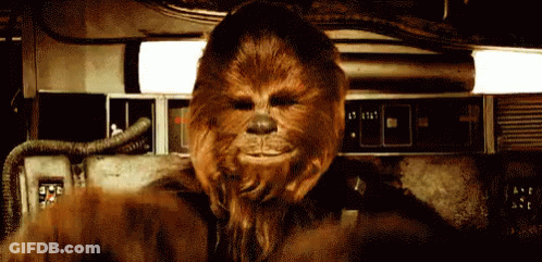 People In Star Wars Costumes GIF