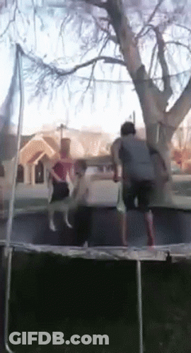People Jumping On Trampoline In Front Of House GIF