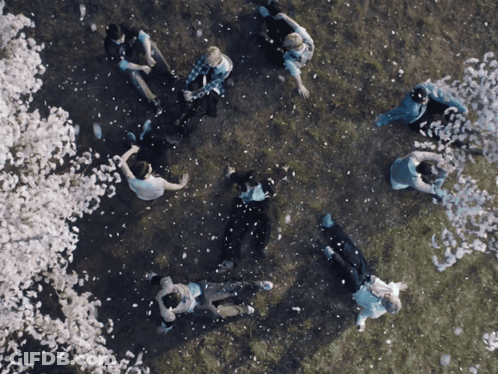 People Lying On Grass With Falling Flowers GIF