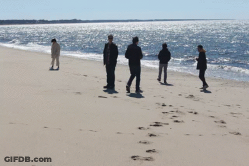 People On Sandy Beach Looking At Ocean GIF