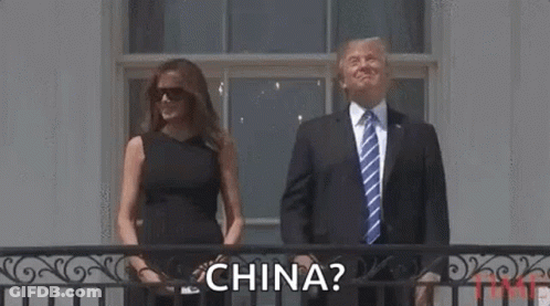 People Playing Ball In Park GIF