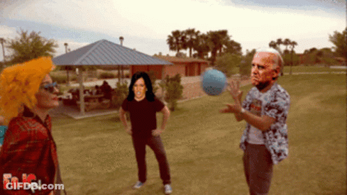 People Playing Ball In Park GIF