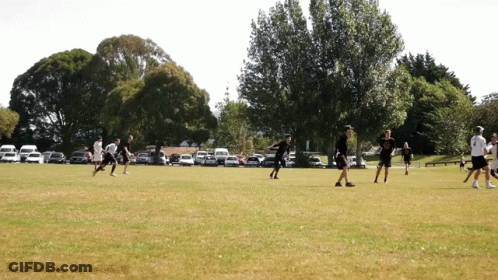 People Playing Frisbee In Field GIF